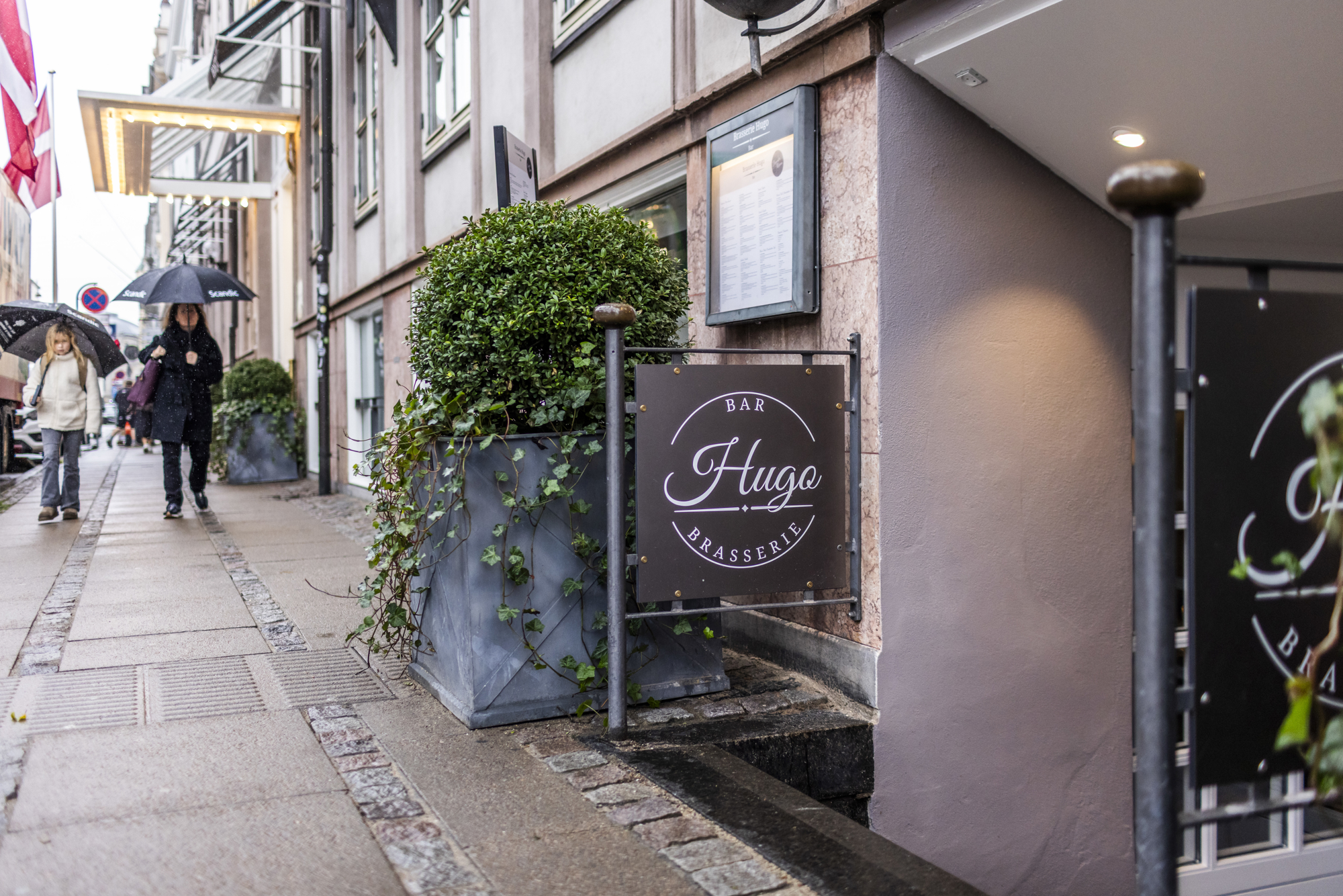 BB Hugo RAISFOTO C1 4724