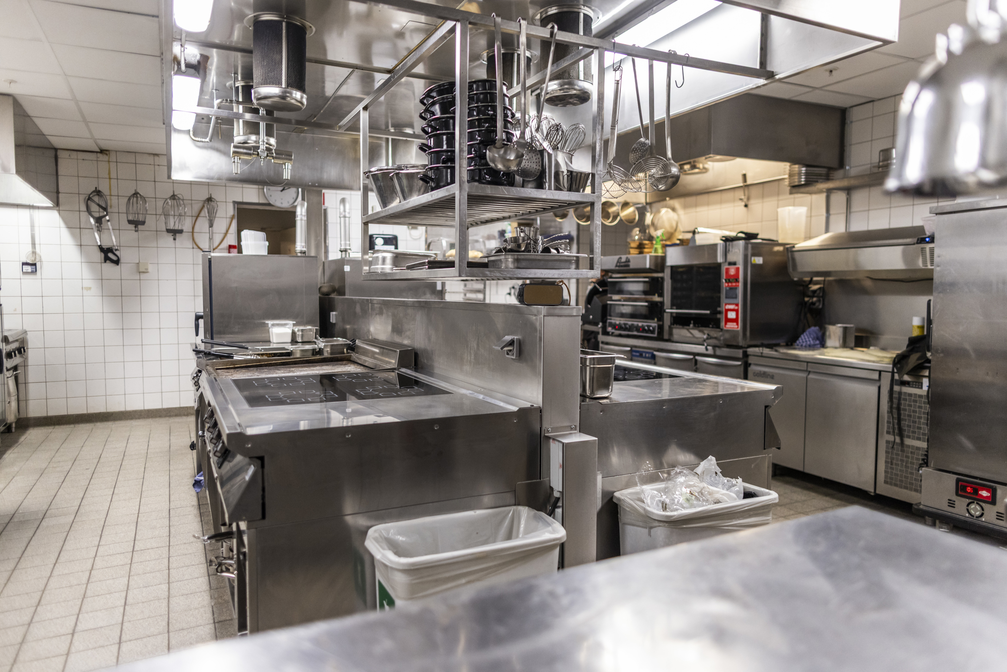 BB Hugo RAISFOTO C1 4332