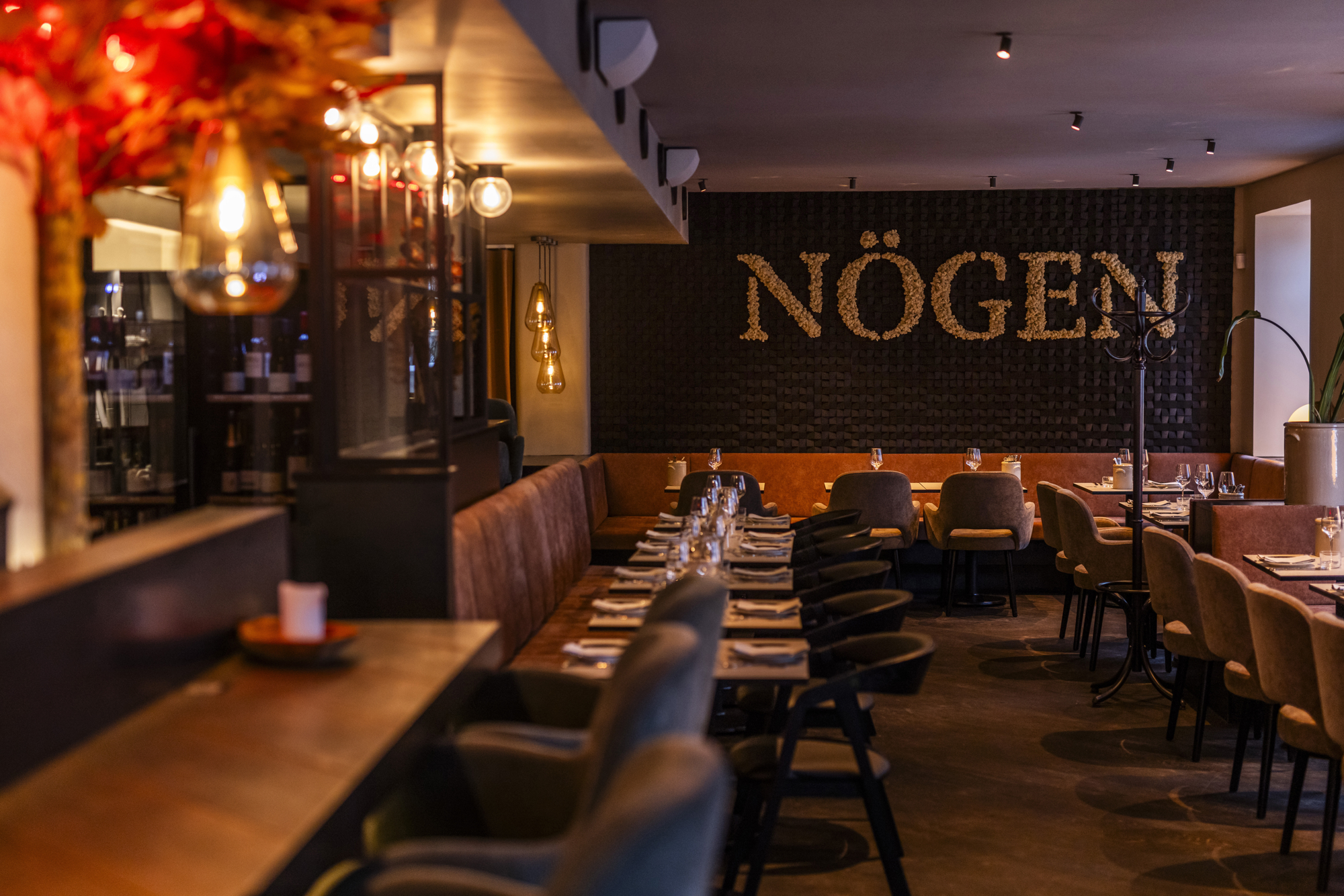 BB Nögen RAISFOTO C1 7682